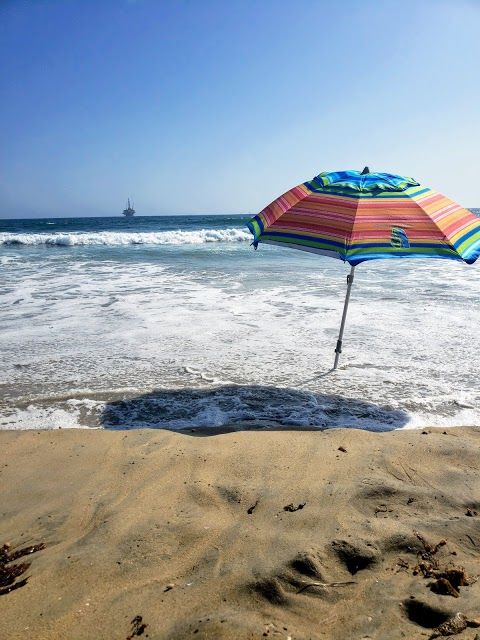 Plaża dla psów w Huntington